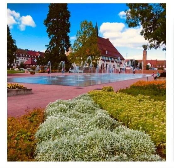 Lieblingsort Leilighet Freudenstadt Eksteriør bilde